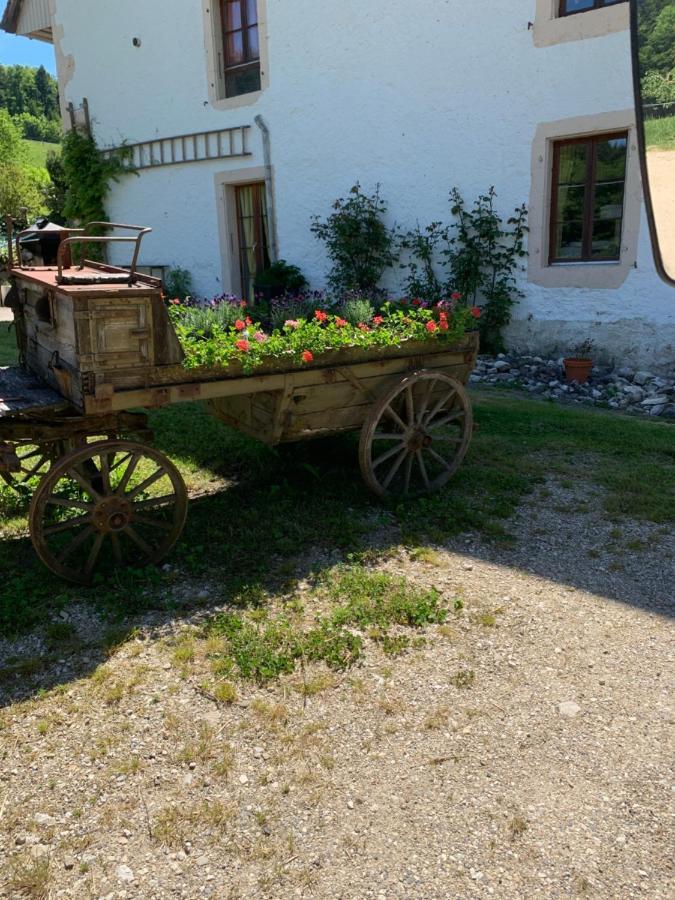 Bed and Breakfast Chez Dodo 2534 Orvin Le Foncet Evilard Экстерьер фото