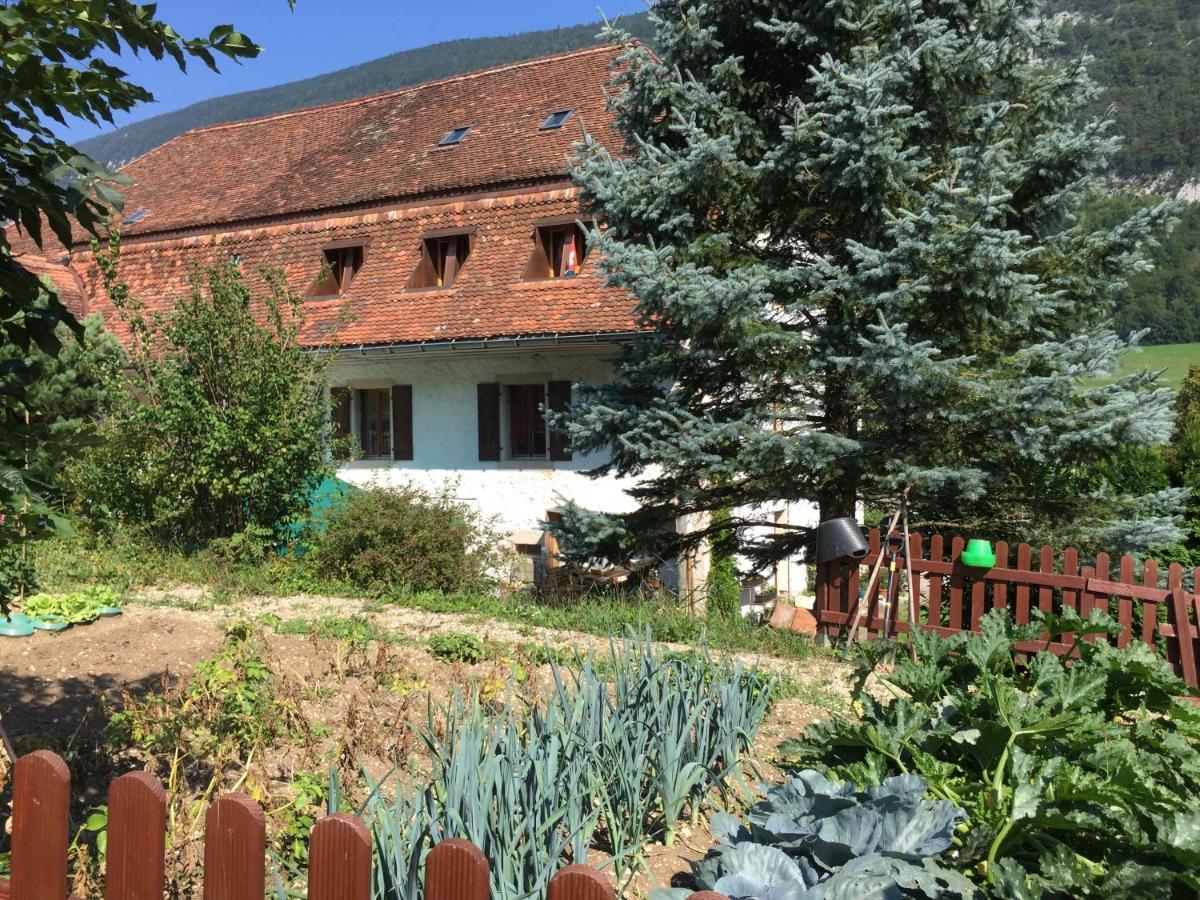 Bed and Breakfast Chez Dodo 2534 Orvin Le Foncet Evilard Экстерьер фото