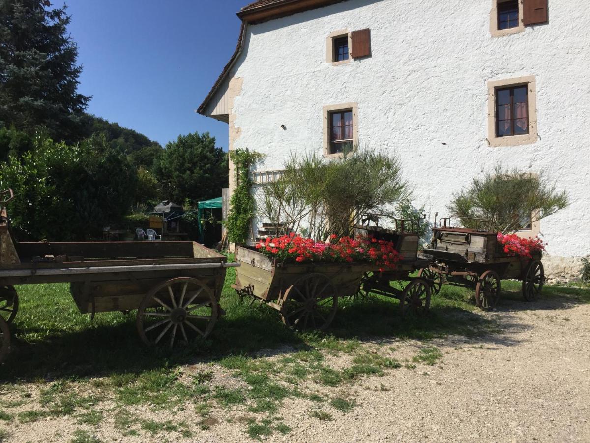 Bed and Breakfast Chez Dodo 2534 Orvin Le Foncet Evilard Экстерьер фото